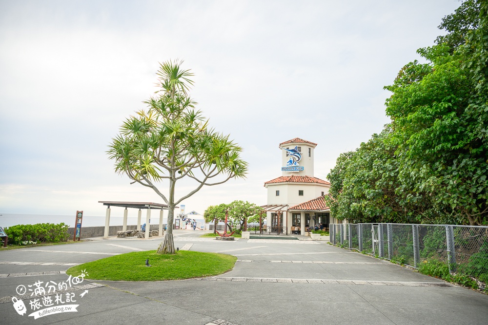 【沖繩玻璃底遊艇體驗】名護部瀬名海中公園親子必玩!搭鯨魚遊艇,換個視角看海底世界,還能同時餵魚超好玩!