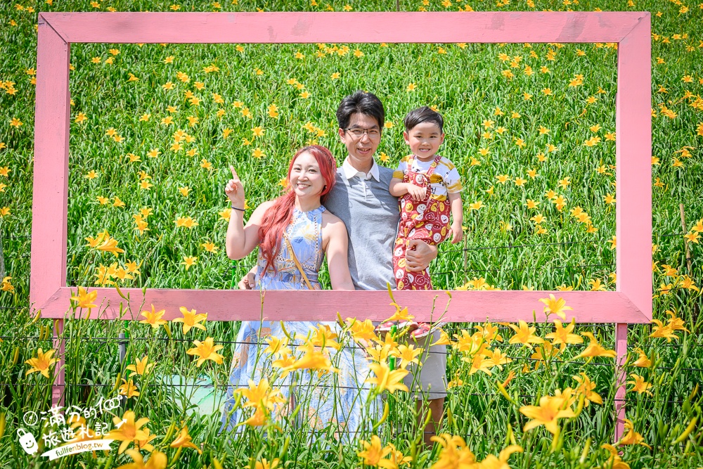 彰化花壇【2025虎山巖金針花海最新花況】彰化最耀眼金色花海.賞金針.拍美照.逛市集.拜觀音,走訪百年歷史古蹟!