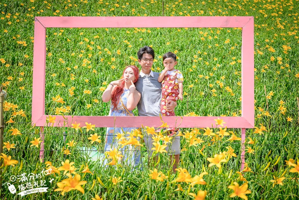 彰化花壇【2025虎山巖金針花海最新花況】彰化最耀眼金色花海.賞金針.拍美照.逛市集.拜觀音,走訪百年歷史古蹟!