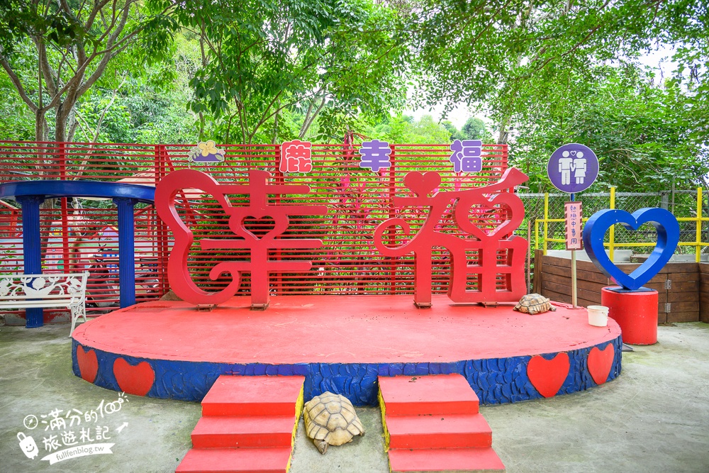 彰化【今夜星辰休閒農場】八卦山最浪漫的親子農場.近距離餵食羊駝.孔雀.狐朦和鸚鵡,還能搭小火車看高鐵!