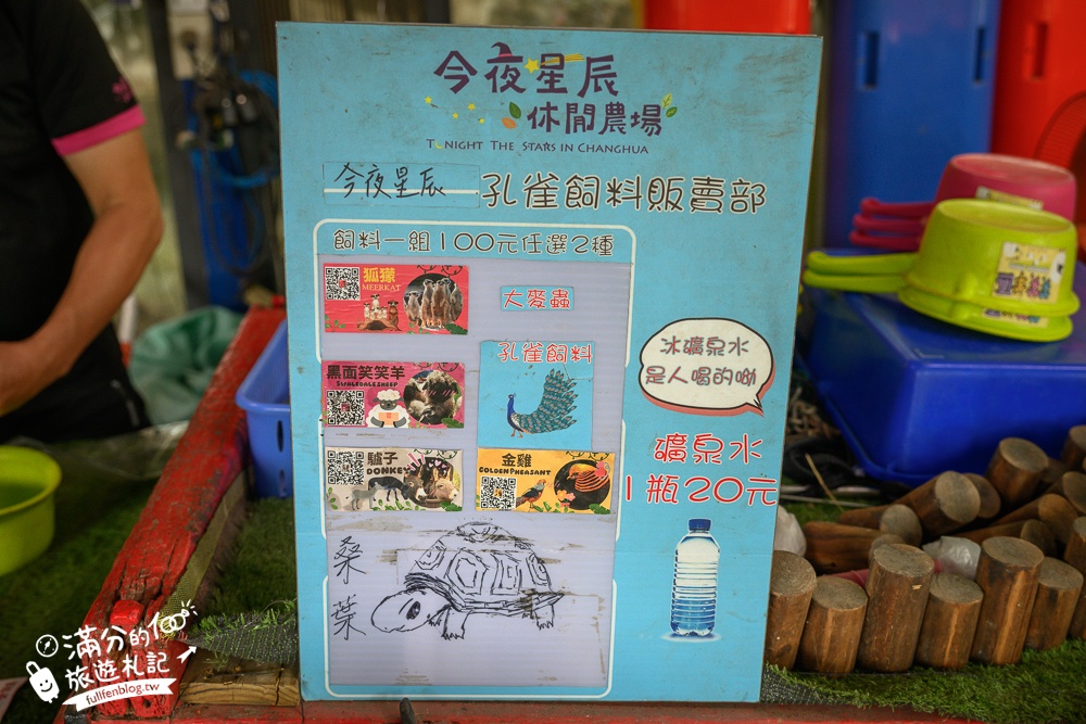 彰化【今夜星辰休閒農場】八卦山最浪漫的親子農場.近距離餵食羊駝.孔雀.狐朦和鸚鵡,還能搭小火車看高鐵!