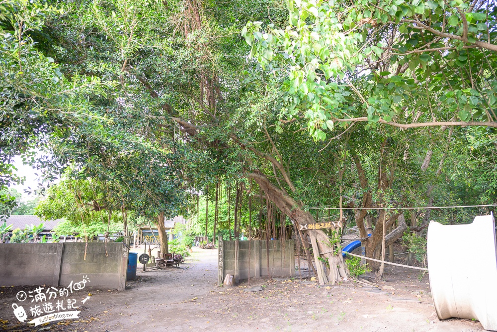 彰化景點【姥姥不老茶文創園區】逛古厝.玩無動力設施.超刺激水上腳踏車.古禮迎親體驗,親子同行超放電!