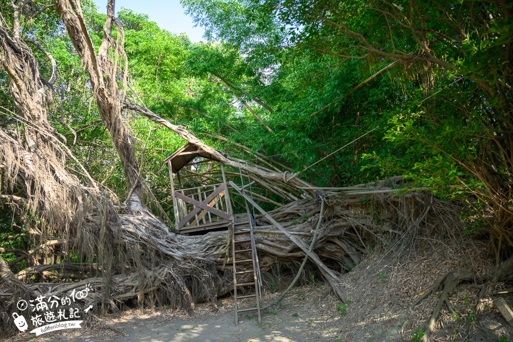 彰化景點【姥姥不老茶文創園區】逛古厝.玩無動力設施.超刺激水上腳踏車.古禮迎親體驗,親子同行超放電!