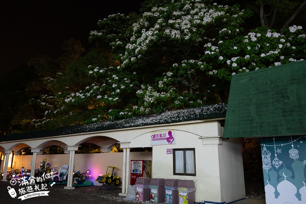 【2025西湖渡假村一泊三食玩樂攻略】最新桐花恐龍世界,泡泡免費玩.必逛凡爾賽花園&靈山洞!