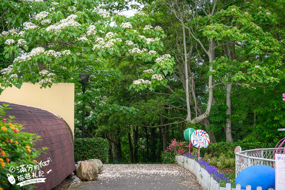 【2025西湖渡假村一泊三食玩樂攻略】最新桐花恐龍世界,泡泡免費玩.必逛凡爾賽花園&靈山洞!