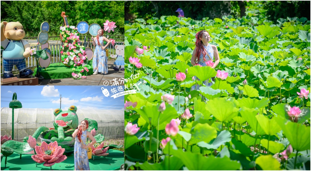 【2025桃園蓮花季】最新活動資訊.TOP5必拍蓮花地景藝術,夢幻蓮花田超震撼! @滿分的旅遊札記