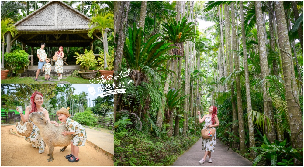 沖繩【東南植物樂園】日本第一椰樹街超震撼.遊園車體驗.餵水豚象龜和兔子趣味十足,被森林包圍的沖繩秘境! @滿分的旅遊札記