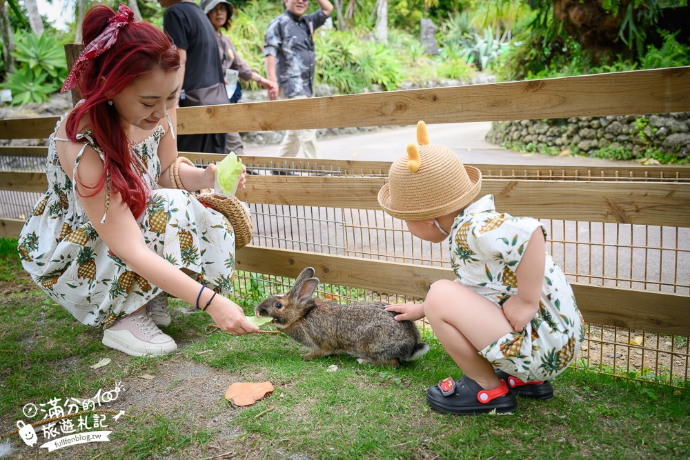 沖繩【東南植物樂園】日本第一椰樹街超震撼.遊園車體驗.餵水豚象龜和兔子趣味十足,被森林包圍的沖繩秘境!