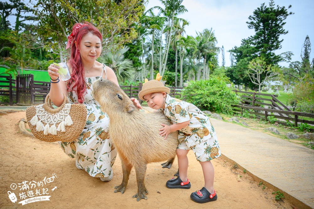 沖繩【東南植物樂園】日本第一椰樹街超震撼.遊園車體驗.餵水豚象龜和兔子趣味十足,被森林包圍的沖繩秘境!