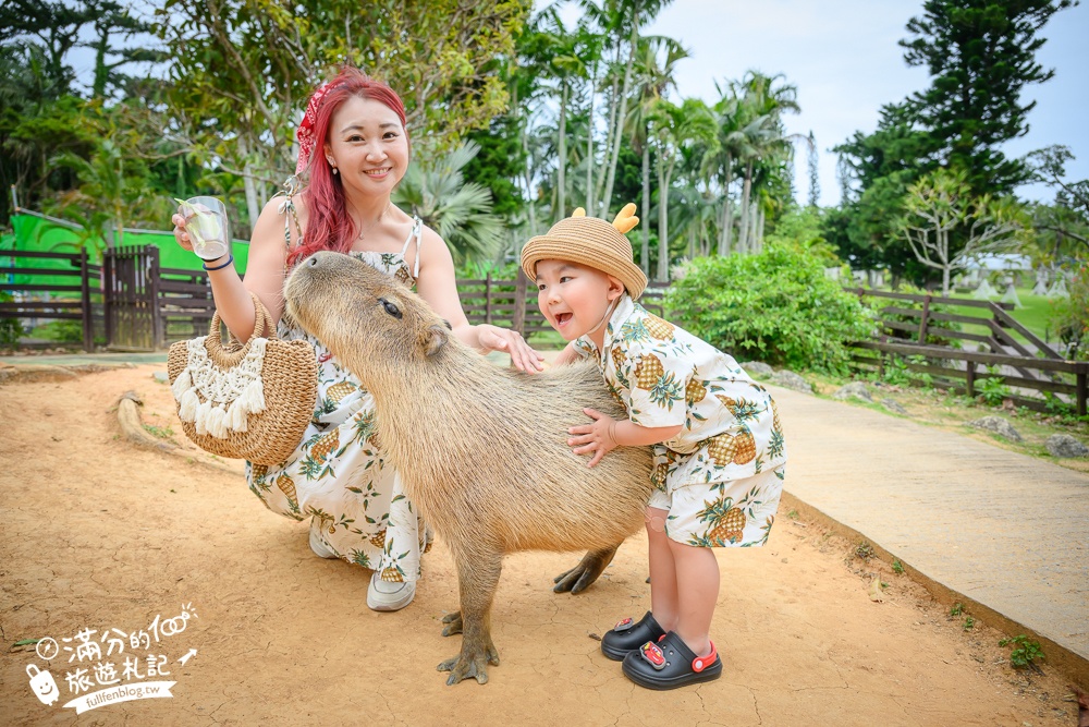沖繩【東南植物樂園】日本第一椰樹街超震撼.遊園車體驗.餵水豚象龜和兔子趣味十足,被森林包圍的沖繩秘境!