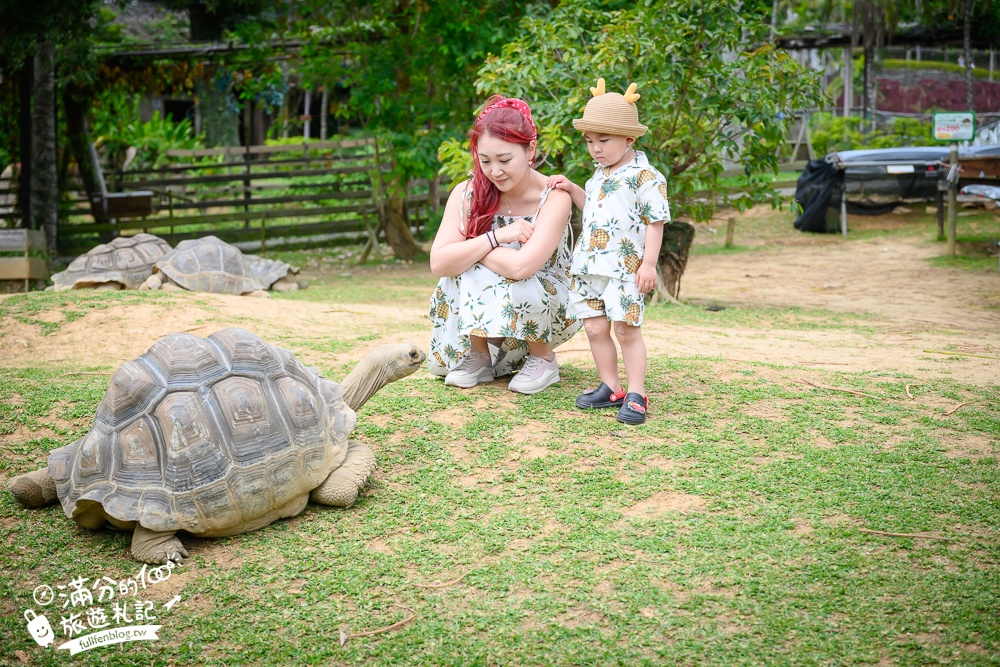 沖繩【東南植物樂園】日本第一椰樹街超震撼.遊園車體驗.餵水豚象龜和兔子趣味十足,被森林包圍的沖繩秘境!