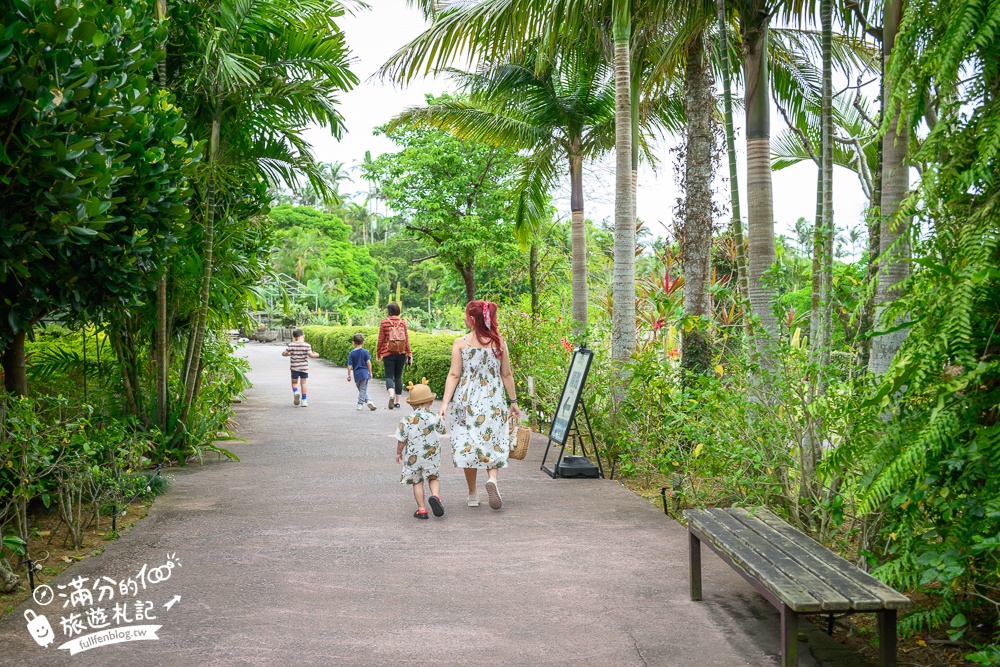 沖繩【東南植物樂園】日本第一椰樹街超震撼.遊園車體驗.餵水豚象龜和兔子趣味十足,被森林包圍的沖繩秘境!