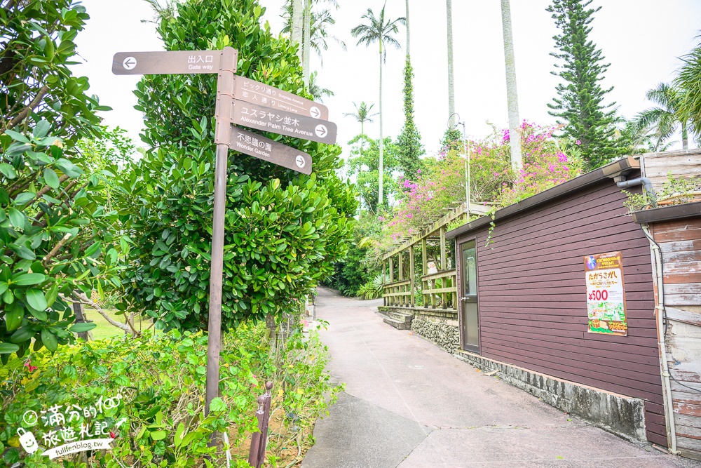 沖繩【東南植物樂園】日本第一椰樹街超震撼.遊園車體驗.餵水豚象龜和兔子趣味十足,被森林包圍的沖繩秘境!