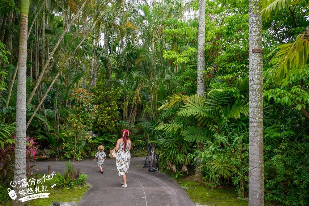 沖繩【東南植物樂園】日本第一椰樹街超震撼.遊園車體驗.餵水豚象龜和兔子趣味十足,被森林包圍的沖繩秘境!