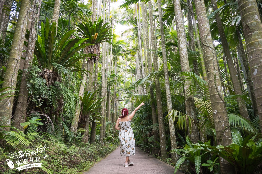 沖繩【東南植物樂園】日本第一椰樹街超震撼.遊園車體驗.餵水豚象龜和兔子趣味十足,被森林包圍的沖繩秘境!