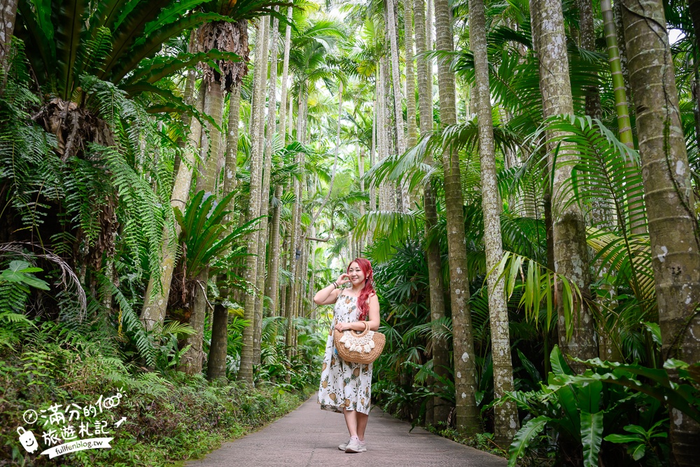 沖繩【東南植物樂園】日本第一椰樹街超震撼.遊園車體驗.餵水豚象龜和兔子趣味十足,被森林包圍的沖繩秘境!
