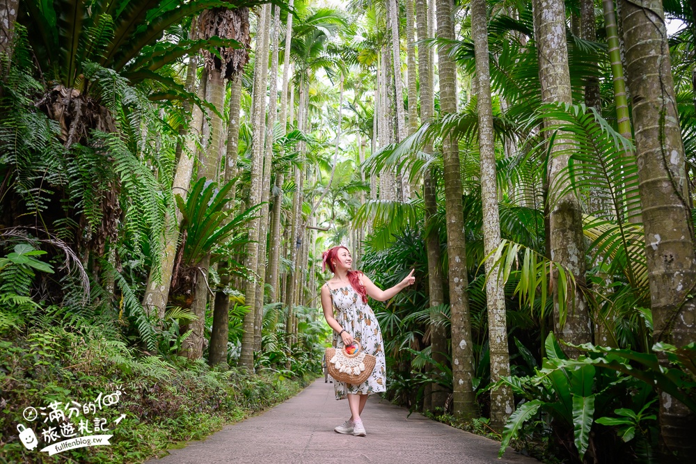 沖繩【東南植物樂園】日本第一椰樹街超震撼.遊園車體驗.餵水豚象龜和兔子趣味十足,被森林包圍的沖繩秘境!