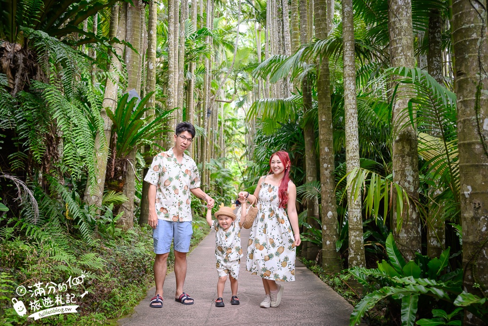 沖繩【東南植物樂園】日本第一椰樹街超震撼.遊園車體驗.餵水豚象龜和兔子趣味十足,被森林包圍的沖繩秘境!
