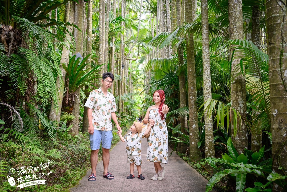 沖繩【東南植物樂園】日本第一椰樹街超震撼.遊園車體驗.餵水豚象龜和兔子趣味十足,被森林包圍的沖繩秘境!