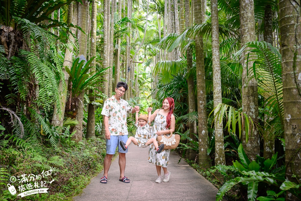 沖繩【東南植物樂園】日本第一椰樹街超震撼.遊園車體驗.餵水豚象龜和兔子趣味十足,被森林包圍的沖繩秘境!