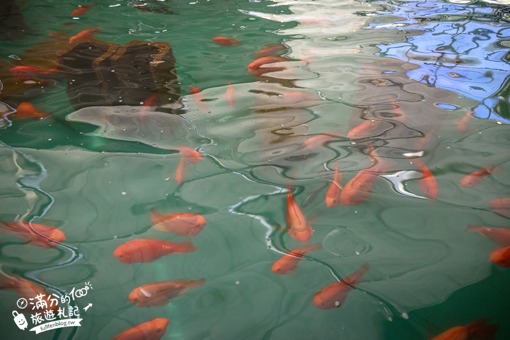 沖繩親子景點【釣魚與探索沖繩 Bouken no Kuni Okinawa】一票玩到底,暢玩釣魚&小龍蝦.尋寶藏.挖化石,還能玩拍侏羅紀世界!