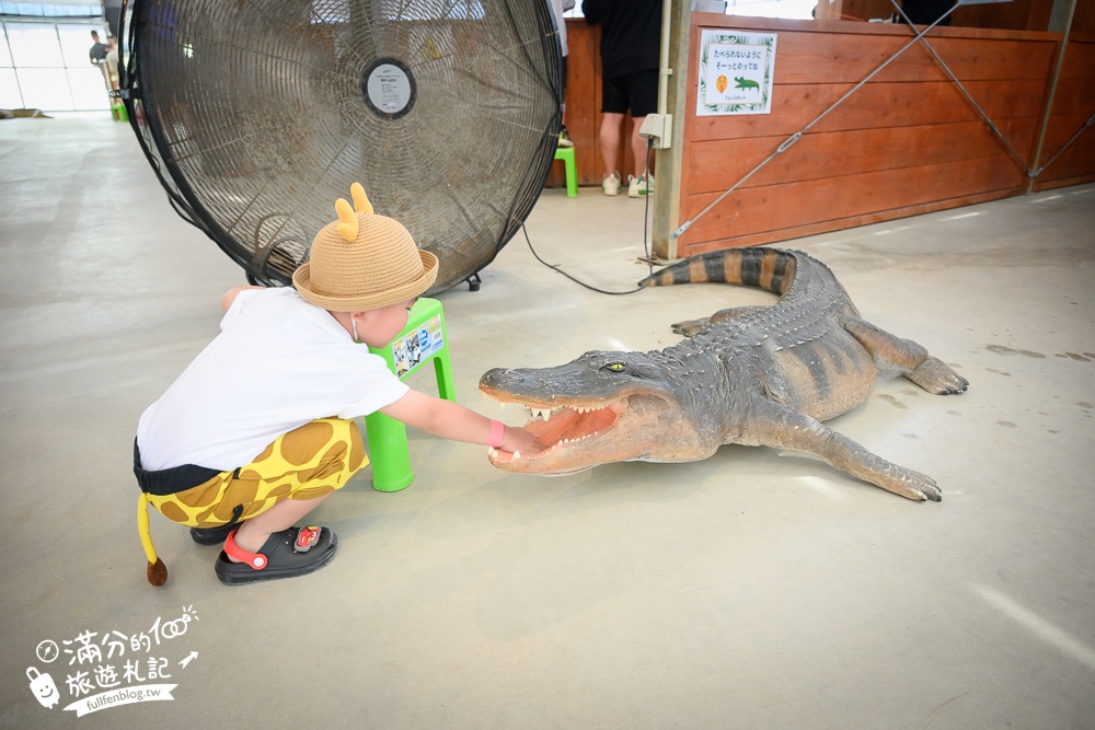 沖繩親子景點【釣魚與探索沖繩 Bouken no Kuni Okinawa】一票玩到底,暢玩釣魚&小龍蝦.尋寶藏.挖化石,還能玩拍侏羅紀世界!
