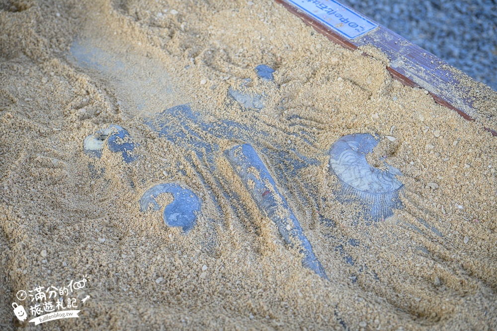 沖繩親子景點【釣魚與探索沖繩 Bouken no Kuni Okinawa】一票玩到底,暢玩釣魚&小龍蝦.尋寶藏.挖化石,還能玩拍侏羅紀世界!