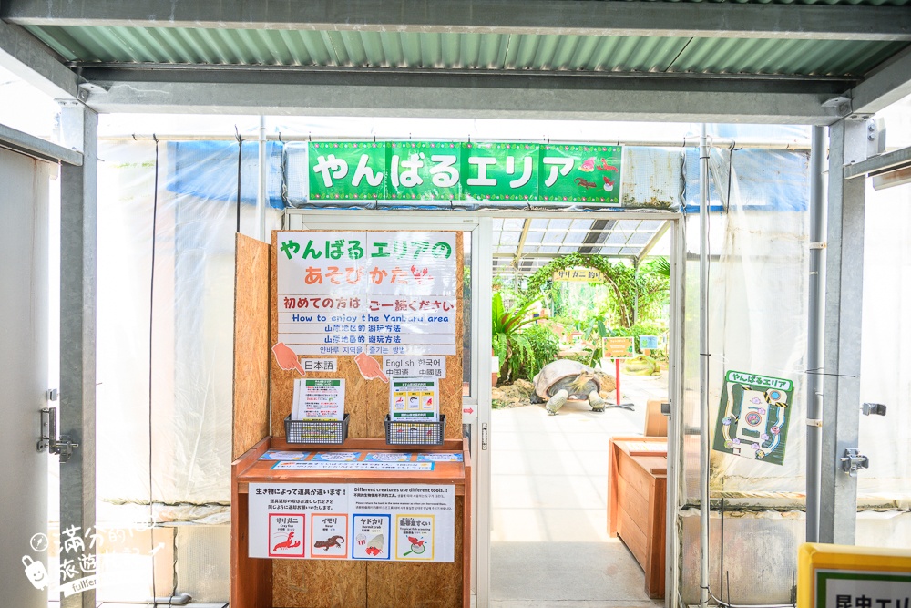 沖繩親子景點【釣魚與探索沖繩 Bouken no Kuni Okinawa】一票玩到底,暢玩釣魚&小龍蝦.尋寶藏.挖化石,還能玩拍侏羅紀世界!