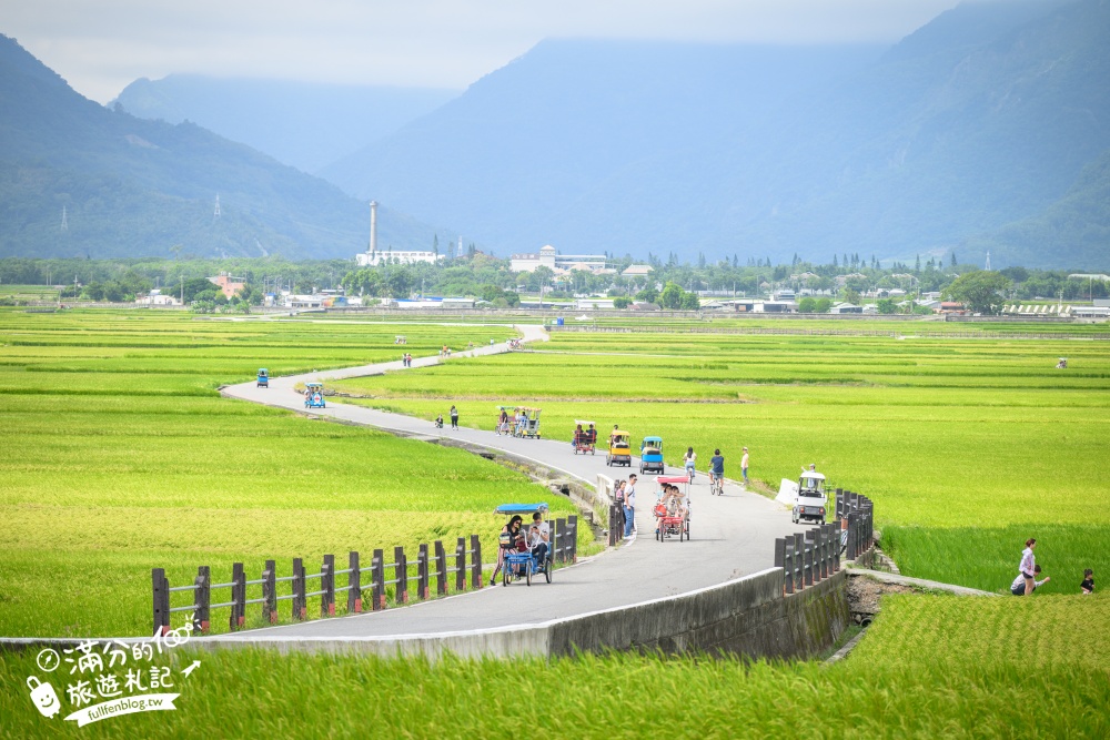 【2025台東山線縱谷景點一日遊】TOP8台東縱谷景點,鹿野高台熱氣球.池上便當.池上稻海鞦韆.彩虹屋.山丘金字塔,感受山脈之美!