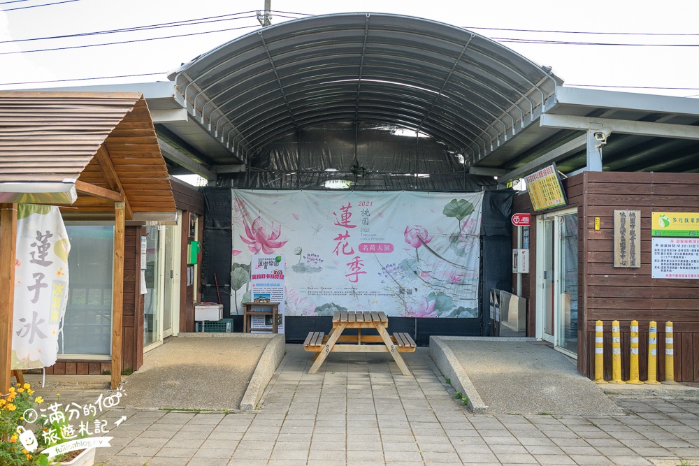 【2025桃園蓮花季】最新活動資訊.TOP5必拍蓮花地景藝術,夢幻蓮花田超震撼!