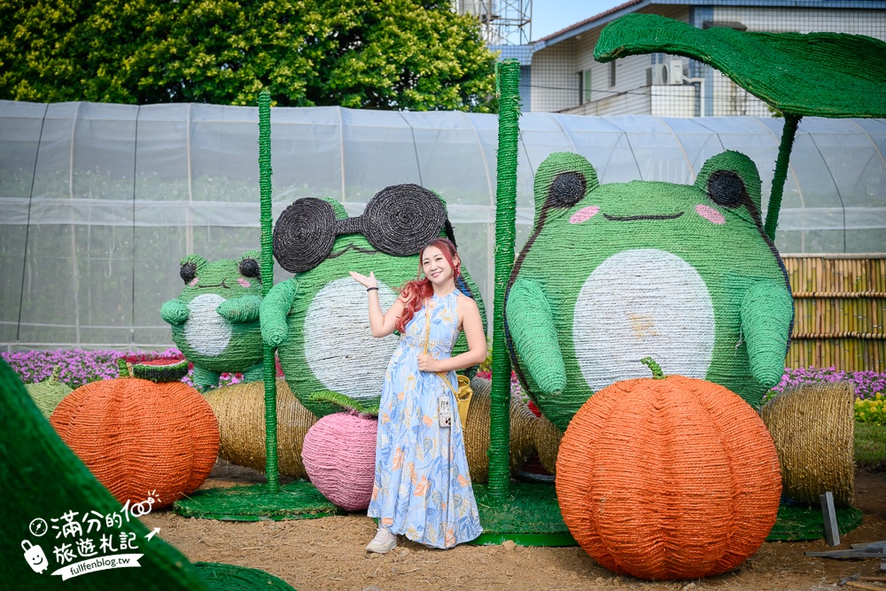 【2025桃園蓮花季】最新活動資訊.TOP5必拍蓮花地景藝術,夢幻蓮花田超震撼!