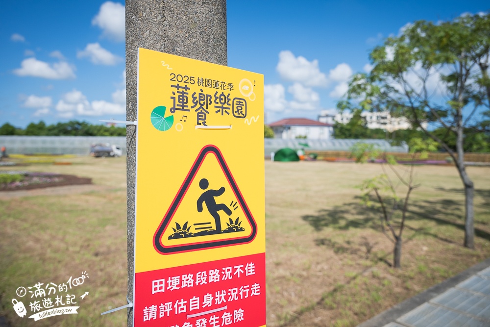 【2025桃園蓮花季】最新活動資訊.TOP5必拍蓮花地景藝術,夢幻蓮花田超震撼!
