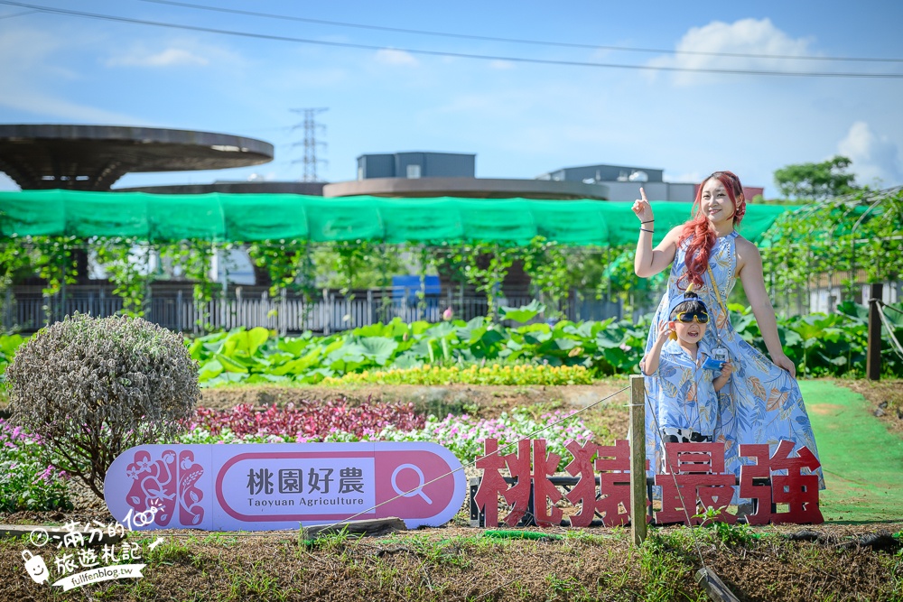 【2025桃園蓮花季】最新活動資訊.TOP5必拍蓮花地景藝術,夢幻蓮花田超震撼!