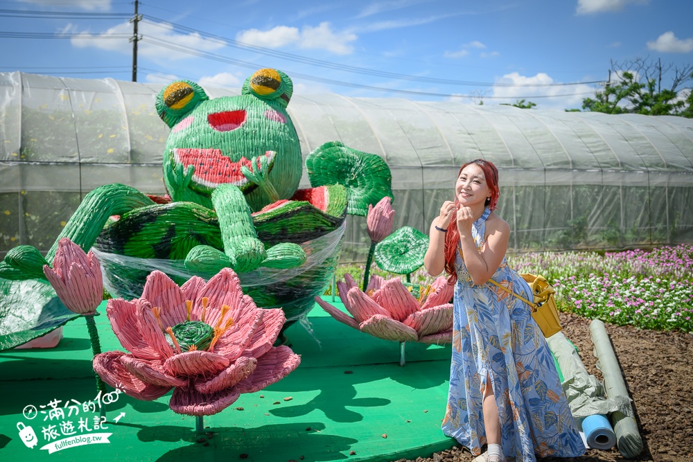 【2025桃園蓮花季】最新活動資訊.TOP5必拍蓮花地景藝術,夢幻蓮花田超震撼!