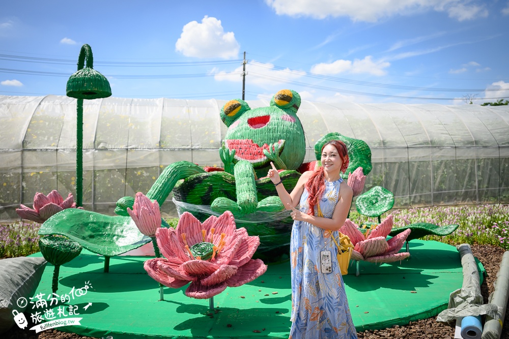 【2025桃園蓮花季】最新活動資訊.TOP5必拍蓮花地景藝術,夢幻蓮花田超震撼!