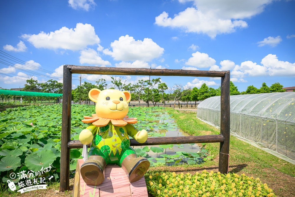【2025桃園蓮花季】最新活動資訊.TOP5必拍蓮花地景藝術,夢幻蓮花田超震撼!