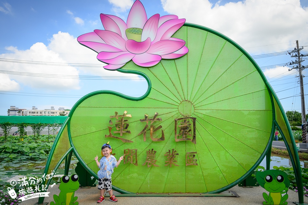 【2025桃園蓮花季】最新活動資訊.TOP5必拍蓮花地景藝術,夢幻蓮花田超震撼!
