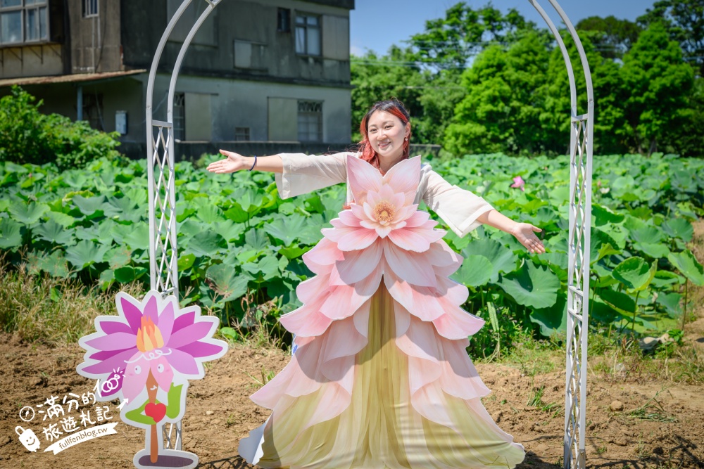 【2026桃園蓮花季】最新活動資訊.TOP5必拍蓮花地景藝術&蓮花彩繪＆蓮花池,漫步夢幻蓮花田間超療癒!