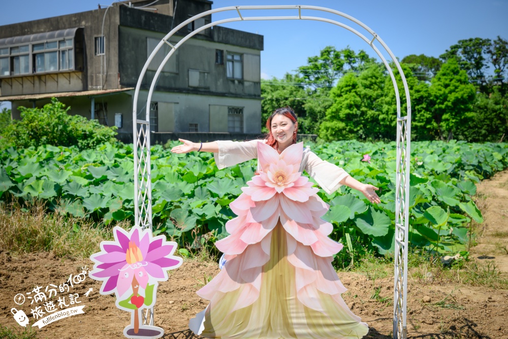 【2026桃園蓮花季】最新活動資訊.TOP5必拍蓮花地景藝術&蓮花彩繪＆蓮花池,漫步夢幻蓮花田間超療癒!