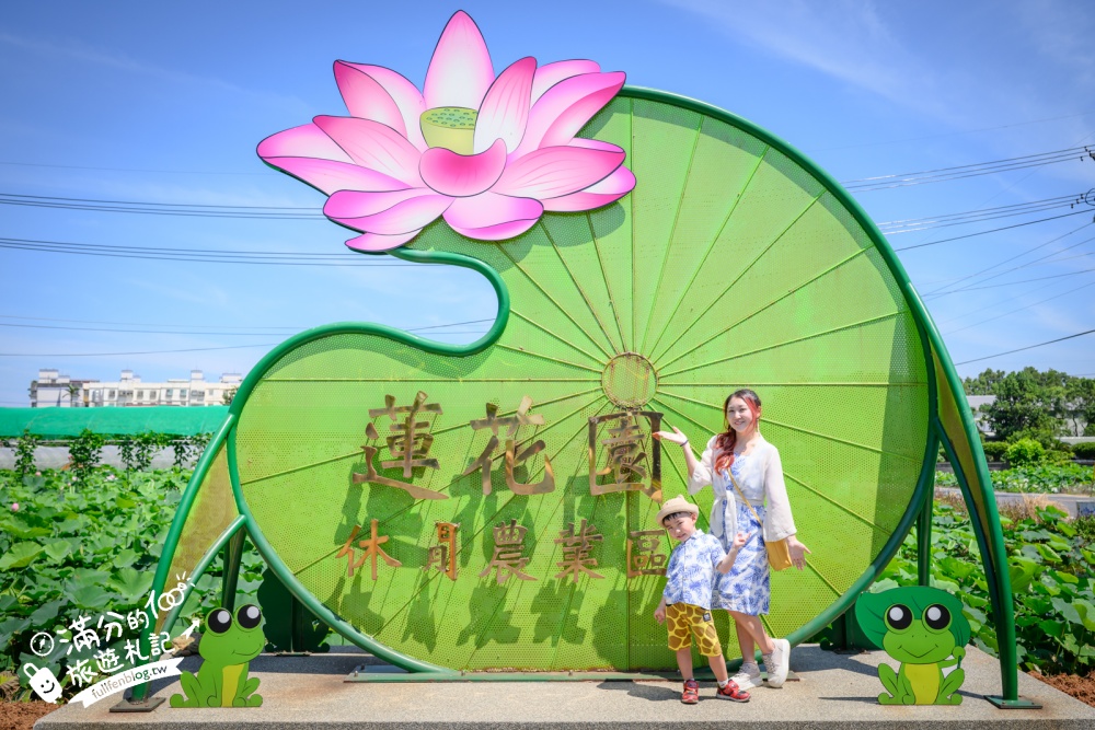 【2026桃園蓮花季】最新活動資訊.TOP5必拍蓮花地景藝術&蓮花彩繪＆蓮花池,漫步夢幻蓮花田間超療癒!