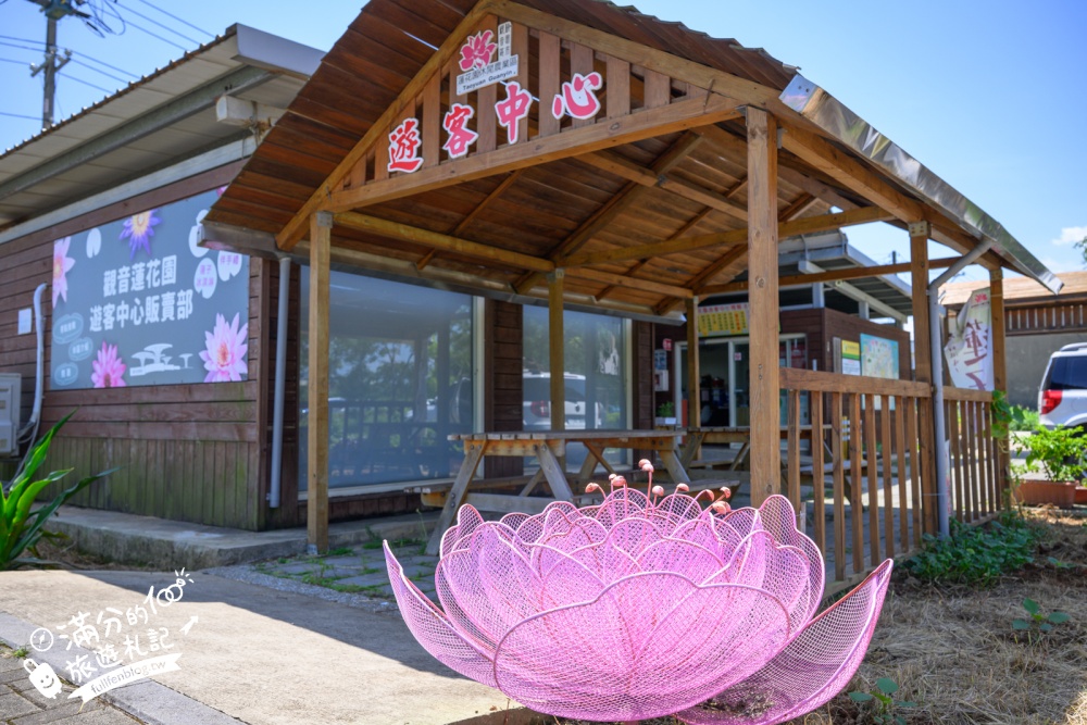 【2026桃園蓮花季】最新活動資訊.TOP5必拍蓮花地景藝術&蓮花彩繪＆蓮花池,漫步夢幻蓮花田間超療癒!