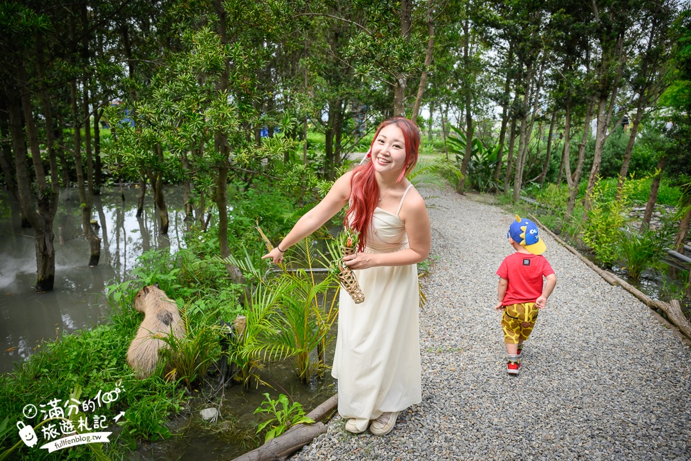 台中【喜鵲方舟FairyLand】后里一處優靜美地,必體驗朗月湖划透明獨木舟,與萌寵互動.看火炎山,還能吃輕食喝烤茶!