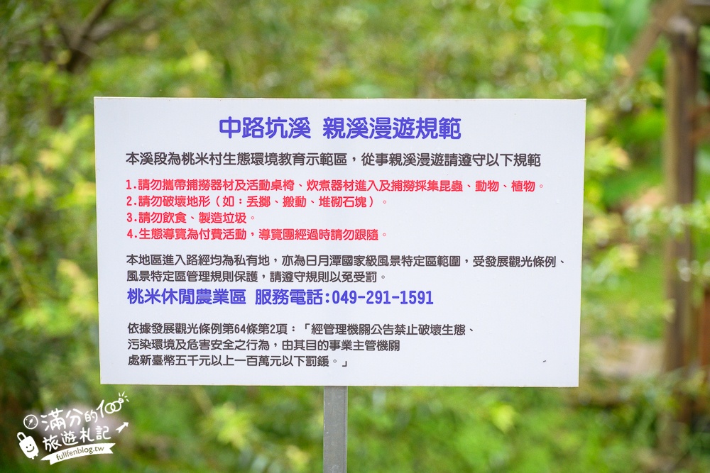 南投玩水秘境【岸境濕地莊園】天然山泉水戲水池.埔里玩水.探索野溪生態,還能用餐喝下午茶!