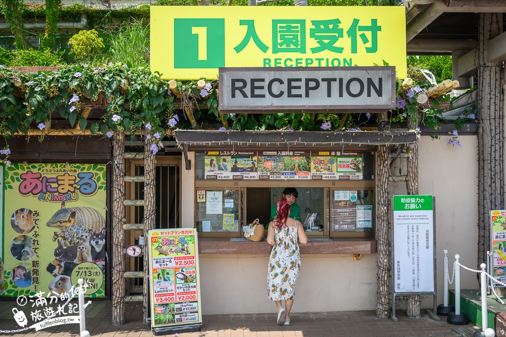 沖繩【東南植物樂園】日本第一椰樹街超震撼.遊園車體驗.餵水豚象龜和兔子趣味十足,被森林包圍的沖繩秘境!