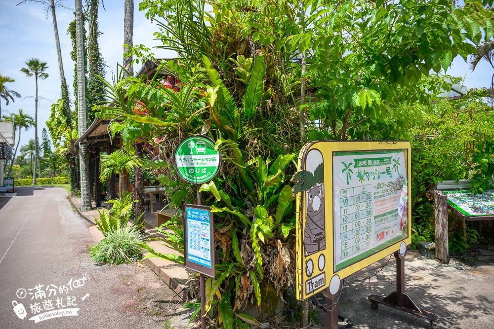沖繩【東南植物樂園】日本第一椰樹街超震撼.遊園車體驗.餵水豚象龜和兔子趣味十足,被森林包圍的沖繩秘境!