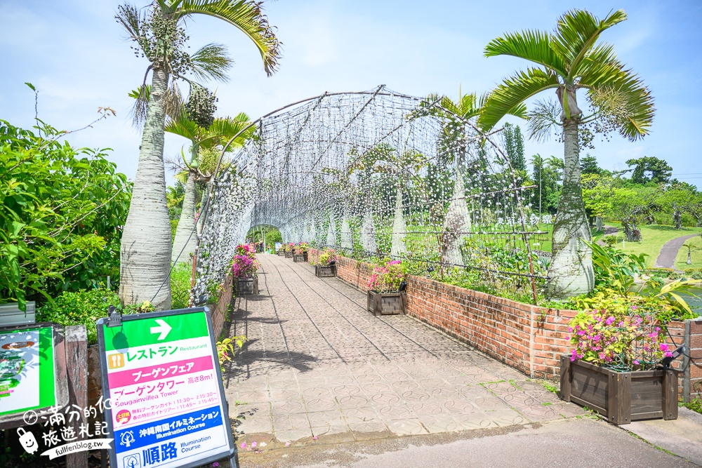 沖繩【東南植物樂園】日本第一椰樹街超震撼.遊園車體驗.餵水豚象龜和兔子趣味十足,被森林包圍的沖繩秘境!