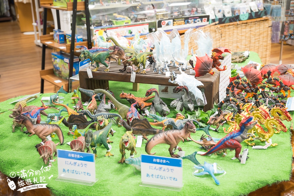 沖繩【東南植物樂園】日本第一椰樹街超震撼.遊園車體驗.餵水豚象龜和兔子趣味十足,被森林包圍的沖繩秘境!