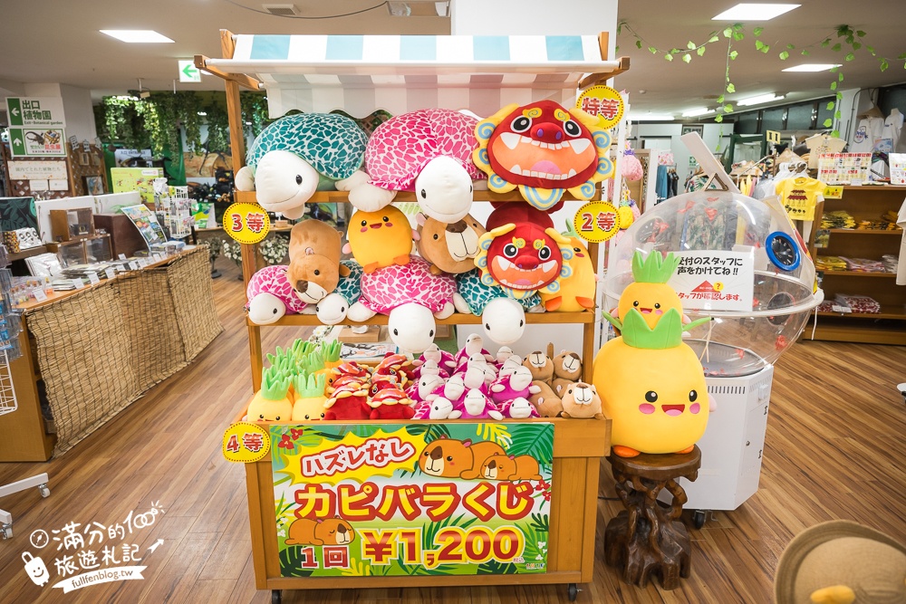 沖繩【東南植物樂園】日本第一椰樹街超震撼.遊園車體驗.餵水豚象龜和兔子趣味十足,被森林包圍的沖繩秘境!