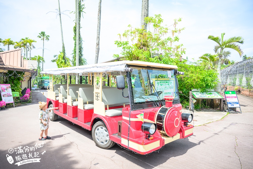 沖繩【東南植物樂園】日本第一椰樹街超震撼.遊園車體驗.餵水豚象龜和兔子趣味十足,被森林包圍的沖繩秘境!