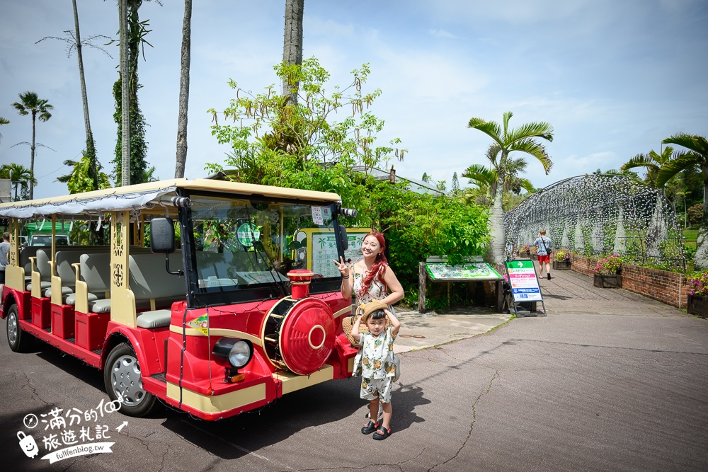 沖繩【東南植物樂園】日本第一椰樹街超震撼.遊園車體驗.餵水豚象龜和兔子趣味十足,被森林包圍的沖繩秘境!